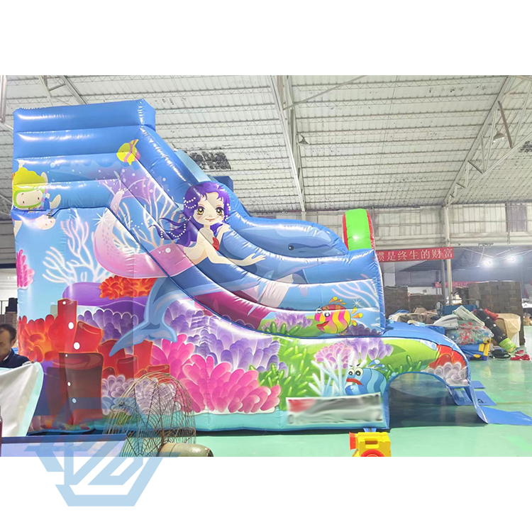 Large Inflatable Water Slide Double Slide Jumping Castle Commerical