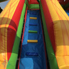 Inflatable Bouncer Castle Bouncy Dry and Water Slide