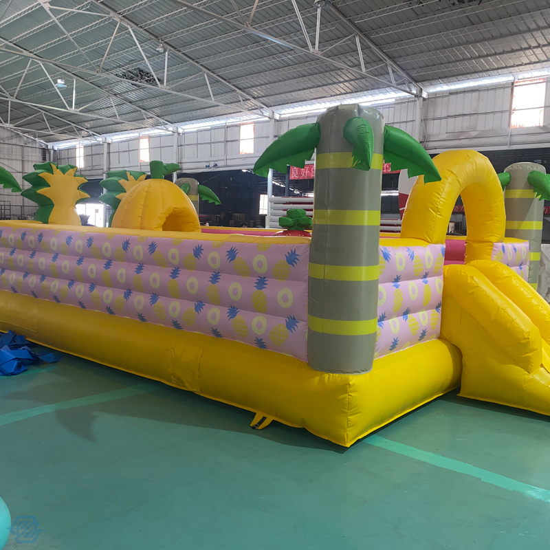 Fruit Theme Inflatable Playground Amusement Park Bounce Castle for Kids