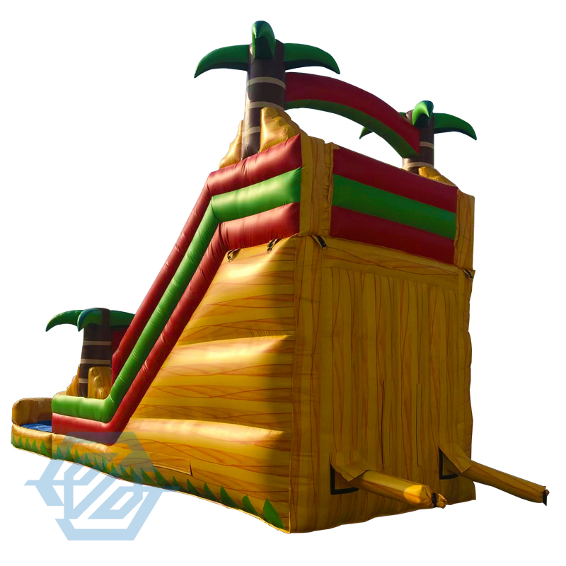 Inflatable Bouncer Castle Bouncy Dry and Water Slide