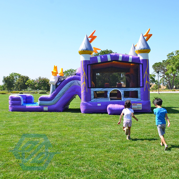 Commercial Rental Inflatable Bouncer House Water Slide Pool