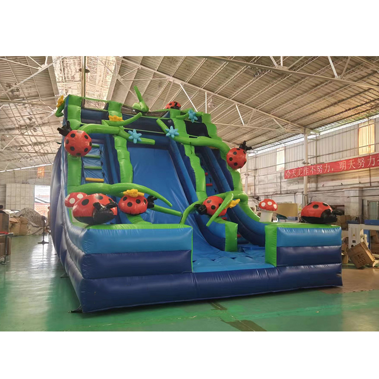 inflatable bounce
