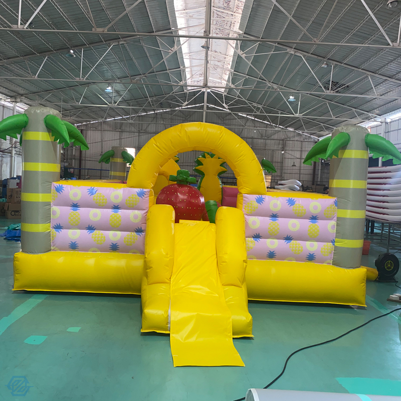 Fruit Theme Inflatable Playground Amusement Park Bounce Castle for Kids