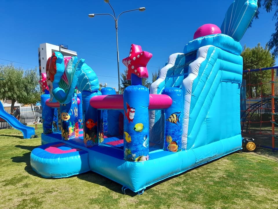 inflatable castle