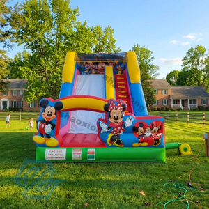 Outdoor Cartoon Mickey Mouse Theme Inflatable Slide for Sale